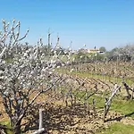 Apartmán Apartma Panorama Marezige