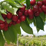 Apartmán Apartma Panorama *