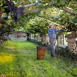 Apartma Panorama Apartmán Marezige