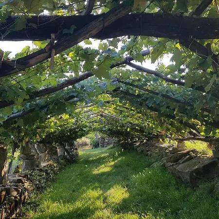 Apartament Apartma Panorama