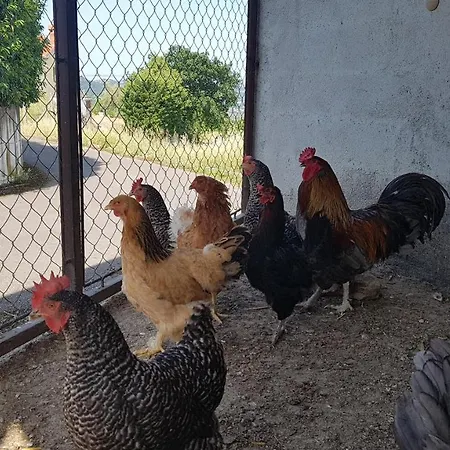 Apartma Panorama Marezige