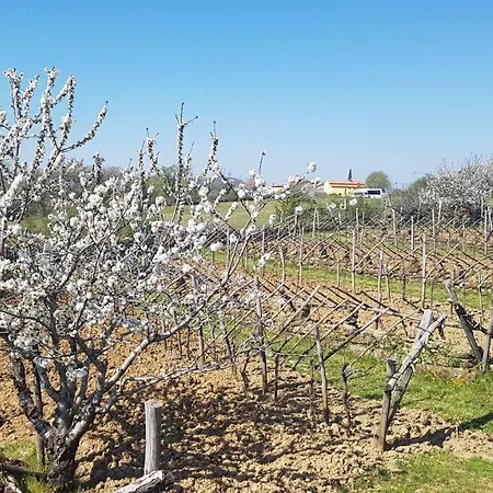 Apartament Apartma Panorama Marezige