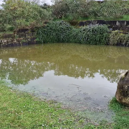 Apartma Panorama דירה *