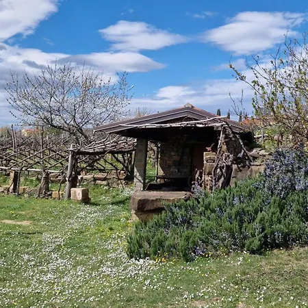 Apartma Panorama דירה מארזיגה