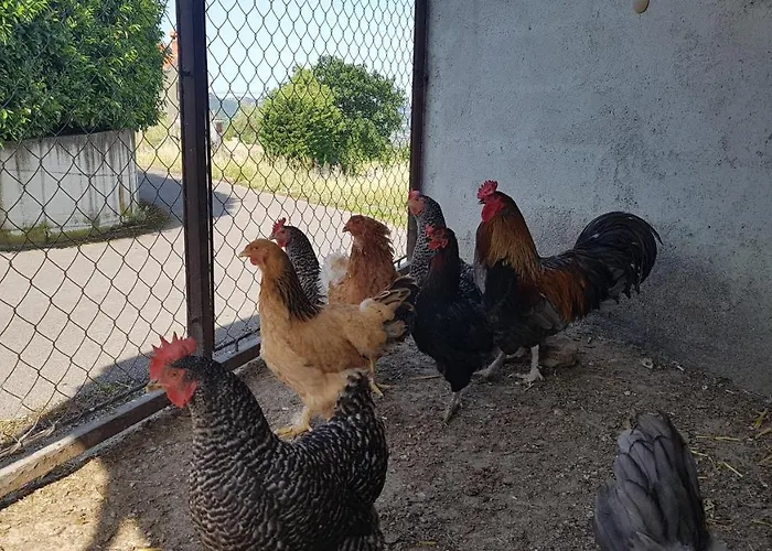 Apartma Panorama Marezige