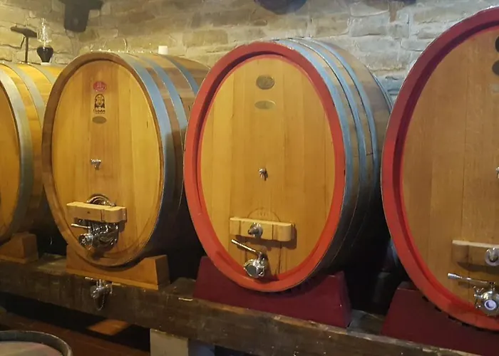 Apartment Apartma Panorama *