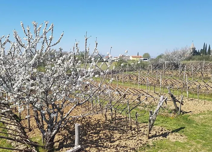 Διαμέρισμα Apartma Panorama Marezige