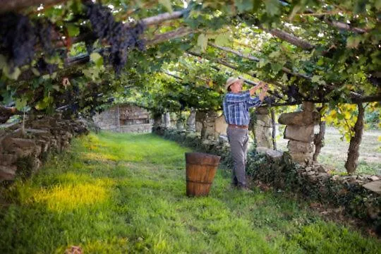 Apartma Panorama Apartment Marezige