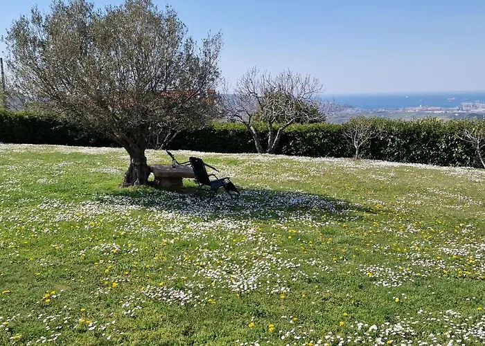 Διαμέρισμα Apartma Panorama *