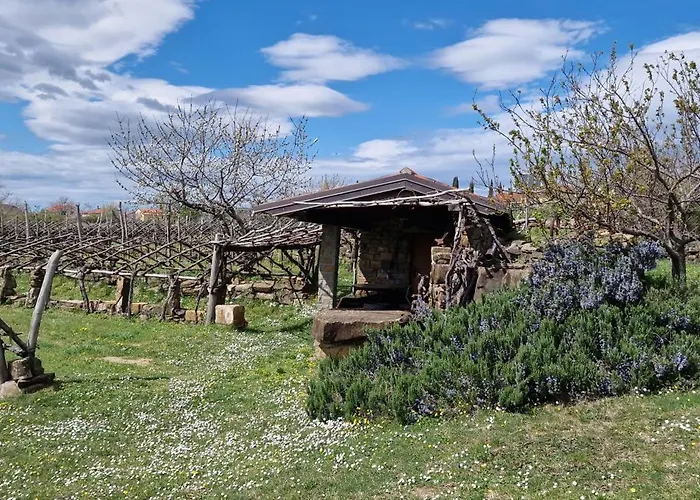 Apartma Panorama Apartment Marezige